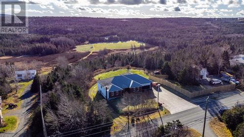 175 Middle Cove Road, Logy Bay Middle Cove Outer Cove, NL - Outdoor With View