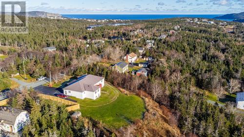 175 Middle Cove Road, Logy Bay Middle Cove Outer Cove, NL - Outdoor With View