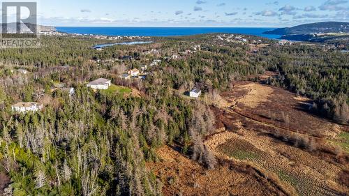 175 Middle Cove Road, Logy Bay Middle Cove Outer Cove, NL - Outdoor With View