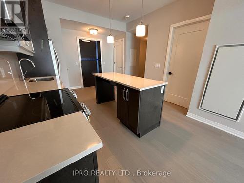 319 - 490 Gordon Krantz Avenue, Milton, ON - Indoor Photo Showing Kitchen With Double Sink