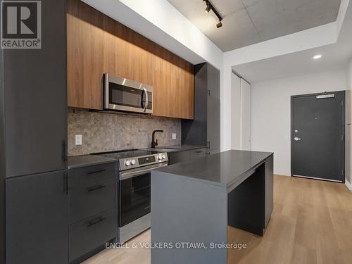 703 - 10 James Street, Ottawa, ON - Indoor Photo Showing Kitchen