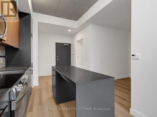 703 - 10 James Street, Ottawa, ON - Indoor Photo Showing Kitchen