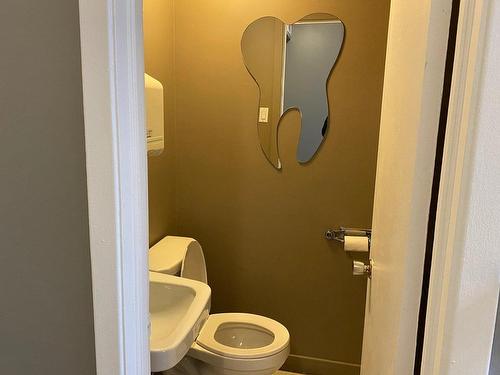 Powder room - 207-72 Rue De La Gare, Saint-Jérôme, QC 