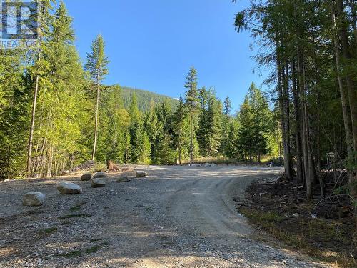 Driveway - 788 Lewis Road, Nelson, BC 