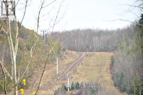 133 Sebastien Street, Blue Mountains, ON - Outdoor With View