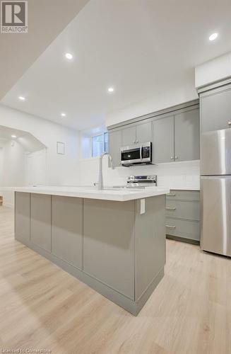 20 Stanley Avenue, Kitchener, ON - Indoor Photo Showing Kitchen With Upgraded Kitchen