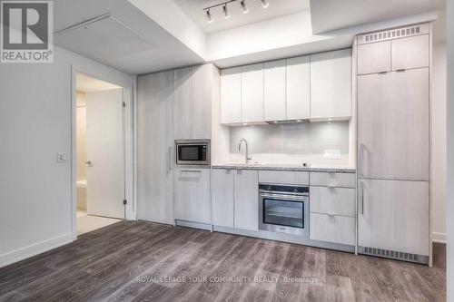 621 - 115 Blue Jays Way, Toronto, ON - Indoor Photo Showing Kitchen