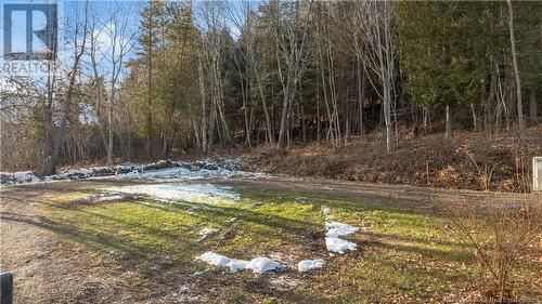 6800 Route 102, Oak Point, NB - Outdoor With View