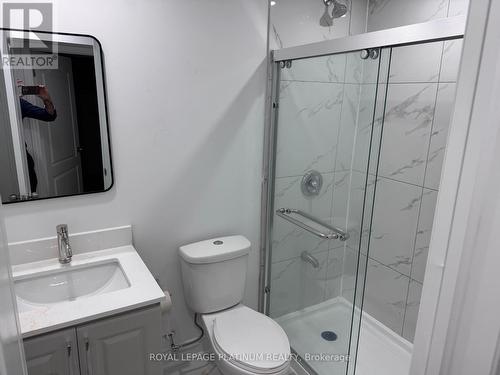 617 Windflower Crescent, Kitchener, ON - Indoor Photo Showing Bathroom