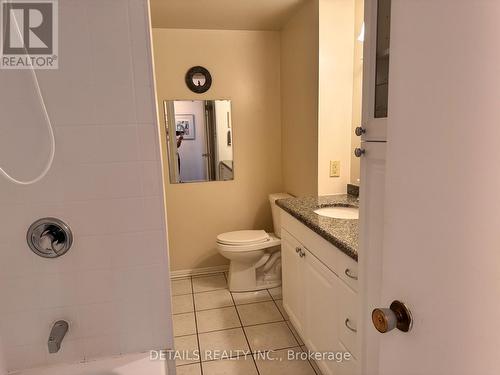 1004 - 3100 Carling Avenue, Ottawa, ON - Indoor Photo Showing Bathroom