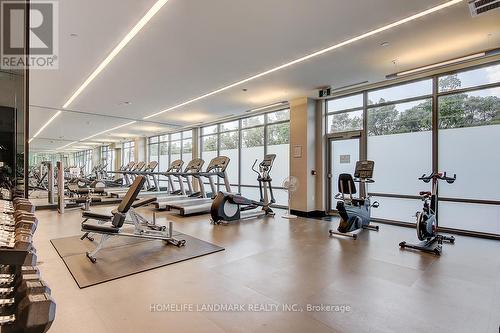 806 - 50 Forest Manor Road, Toronto, ON - Indoor Photo Showing Gym Room