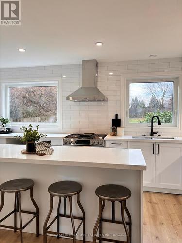 7 Cullum Drive, Hamilton, ON - Indoor Photo Showing Kitchen With Double Sink With Upgraded Kitchen