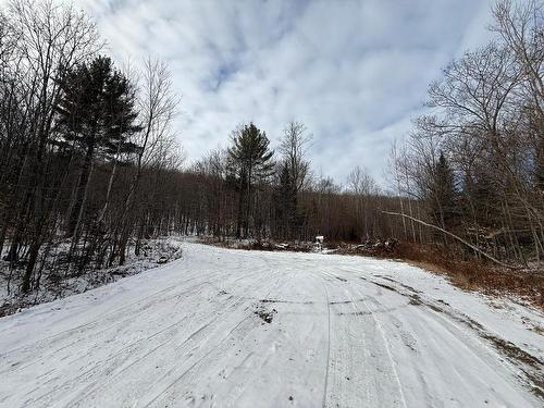 Rue - Rue Labrecque, Saint-Calixte, QC 