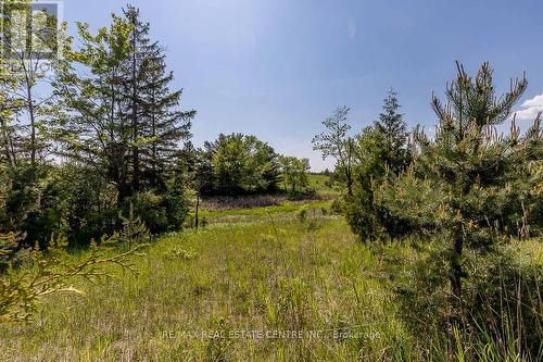 2140 Charleston Side Road, Caledon, ON 