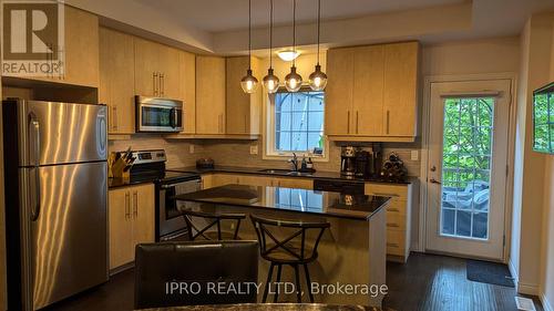 90 Robert Peel Road, Kitchener, ON - Indoor Photo Showing Kitchen With Stainless Steel Kitchen With Double Sink