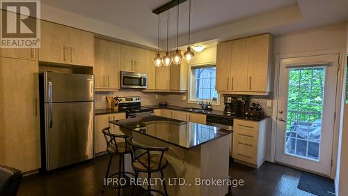 90 Robert Peel Road, Kitchener, ON - Indoor Photo Showing Kitchen With Stainless Steel Kitchen With Double Sink