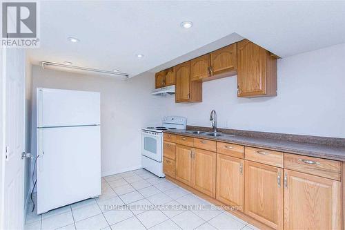 Lower - 479 Blackstock Road, Newmarket, ON - Indoor Photo Showing Kitchen With Double Sink