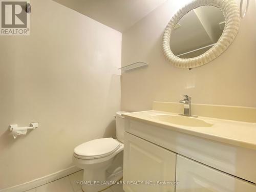 Lower - 479 Blackstock Road, Newmarket, ON - Indoor Photo Showing Bathroom