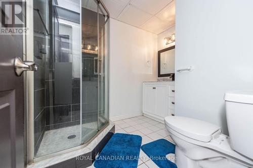 1428 Park Road S, Oshawa, ON - Indoor Photo Showing Bathroom