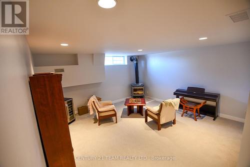 179 Daniel Street, Erin, ON - Indoor Photo Showing Basement