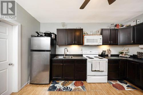 13 Church Street W, Halton Hills, ON - Indoor Photo Showing Kitchen With Double Sink