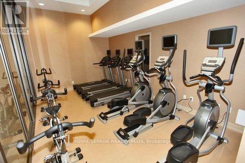 906 - 385 Prince Of Wales Drive, Mississauga, ON - Indoor Photo Showing Gym Room