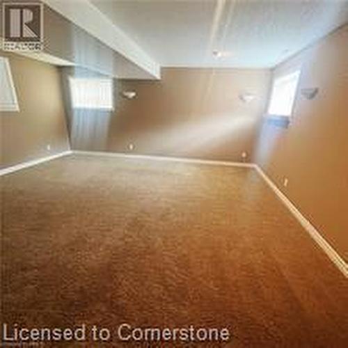 Basement with carpet - 17 Hawkswood Drive, Kitchener, ON - Indoor Photo Showing Other Room