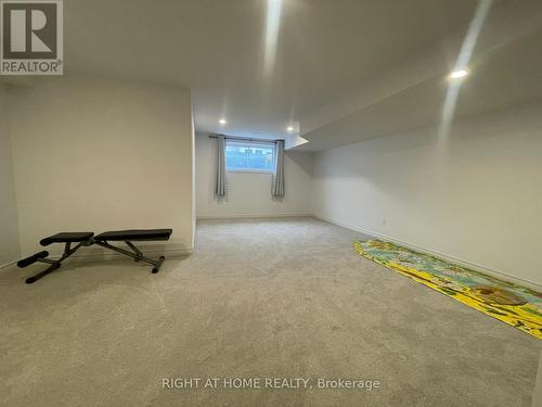 405 Cornice Street, Ottawa, ON - Indoor Photo Showing Gym Room