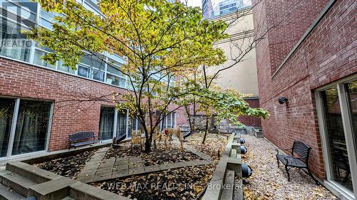 107 - 11 St Joseph Street, Toronto, ON - Outdoor