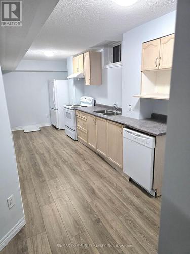 Basemnt - 1339 Dallman Street, Innisfil, ON - Indoor Photo Showing Kitchen With Double Sink