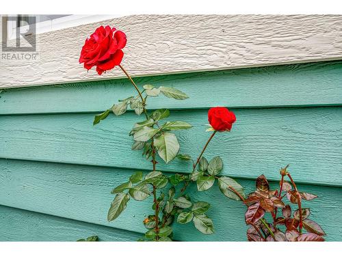 Perennials in the garden - 3515 Ridge Boulevard, West Kelowna, BC - Outdoor