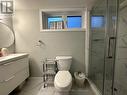 Bsmt - 7 Silver Spruce Drive, Toronto, ON  - Indoor Photo Showing Bathroom 