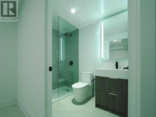 501 - 308 Jarvis Street, Toronto, ON - Indoor Photo Showing Bathroom