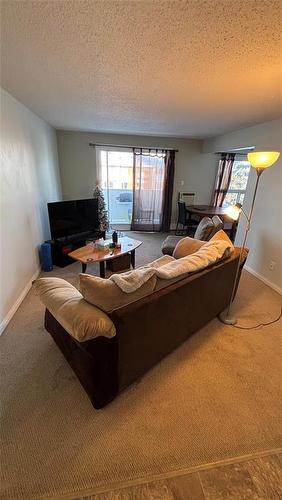 303 1583 26Th Street, Brandon, MB - Indoor Photo Showing Living Room