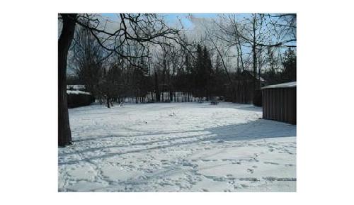 Backyard - 98 Av. De Dieppe, Pointe-Claire, QC - Outdoor