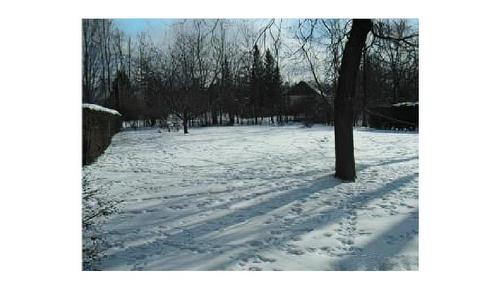 Backyard - 98 Av. De Dieppe, Pointe-Claire, QC - Outdoor