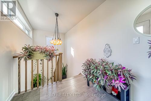 294 Valermo Drive, Toronto, ON - Indoor Photo Showing Other Room