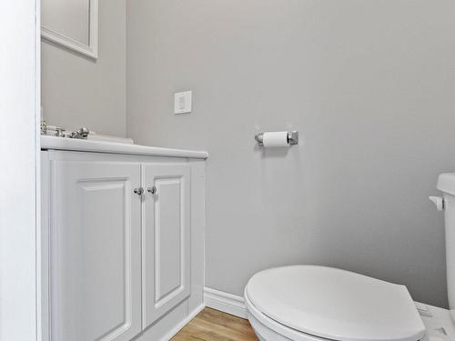 Powder room - 20 Rue Patenaude, Saint-Isidore, QC - Indoor Photo Showing Bathroom