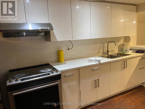 Lower - 181 Augusta Avenue, Toronto, ON - Indoor Photo Showing Kitchen With Double Sink