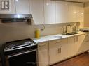 Lower - 181 Augusta Avenue, Toronto, ON  - Indoor Photo Showing Kitchen With Double Sink 