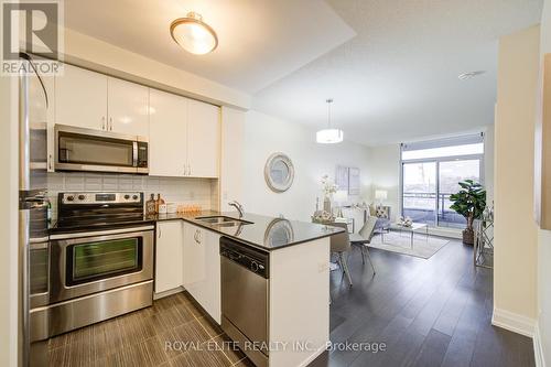 103 - 1060 Sheppard Avenue W, Toronto, ON - Indoor Photo Showing Kitchen With Stainless Steel Kitchen With Double Sink