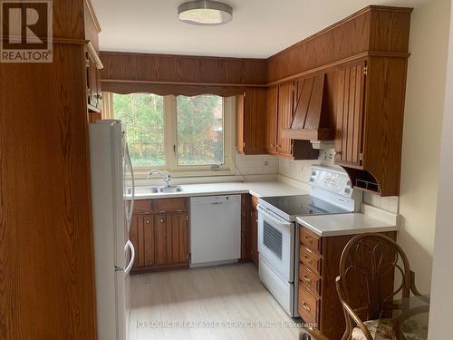 163 Fourth Avenue, Kitchener, ON - Indoor Photo Showing Kitchen