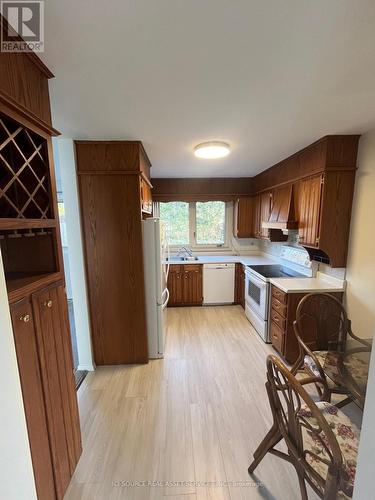 163 Fourth Avenue, Kitchener, ON - Indoor Photo Showing Kitchen