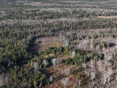 Salmon River Road, Enon, NS 