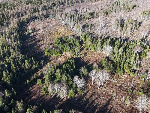 Salmon River Road, Enon, NS 