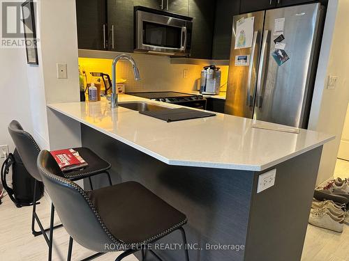 813 - 65 East Liberty Street, Toronto, ON - Indoor Photo Showing Kitchen With Double Sink With Upgraded Kitchen