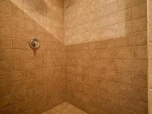 Bathroom - 1219 Rue Des Saules, Prévost, QC - Indoor Photo Showing Bathroom