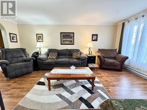 48 Premier Drive, Lewisporte, NL - Indoor Photo Showing Living Room