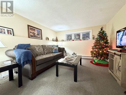 48 Premier Drive, Lewisporte, NL - Indoor Photo Showing Living Room