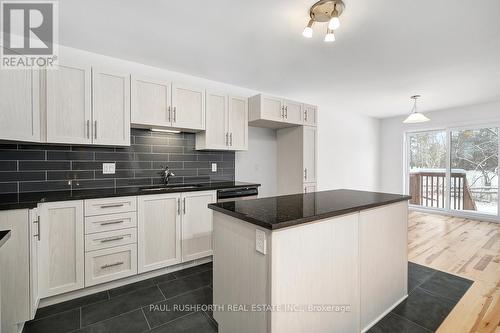 193 Darquise Street, Clarence-Rockland, ON - Indoor Photo Showing Kitchen With Upgraded Kitchen